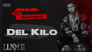 Anuel AA Treintisiete Yailin La Mas Viral  Del Kilo Visualizer Oficial  LLNM2 [upl. by Esined711]