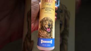 Oatmeal dog spray Burts Bees for Pets Natural Itch Soothing Spray with Honeysuckle Best AntiItch [upl. by Enelam813]