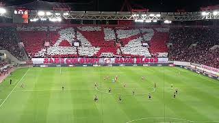 Olympiacos Vs Rangers 11 Coreo SAME COLOUR SAME BLOOD 🔴⚪ [upl. by Vani785]