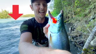 These Massive Rapids Swallowed My Fish Whole Alaska Fishing Kenai River Naptowne and Bings Landing [upl. by Nivanod]