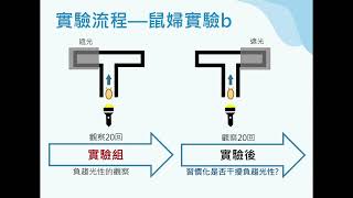 第二十三屆旺宏科學獎 SA23568介紹影片 [upl. by Isadore]