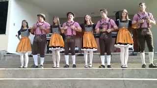 Oktoberfest La Trinidad Caracas 2015 Danzas Jarillo Deutschtanzgruppe [upl. by Mahan]