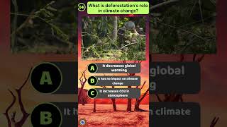 🌳 How Does Deforestation Drive Climate Change 🔥WorldQuizAZ [upl. by Pfister]