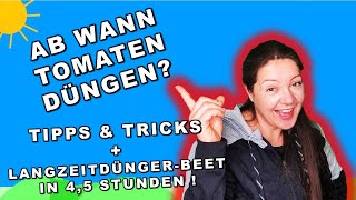 TOMATEN DÜNGEN ab WANN  Tomaten selber ziehen  BioLangzeitdünger amp NIE WIEDER DÜNGEN [upl. by Schram865]