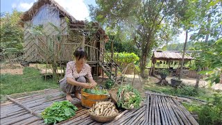 Harvesting radishes and how to store them Live with nature [upl. by Ihsoyim]