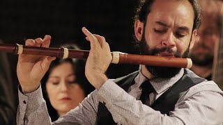 CPE Bach Flute Concerto in A minor Wq166 H431 – Bremer Barockorchester [upl. by Trebleda921]