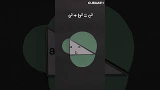 Pythagoras theorem beyond triangles [upl. by Eisned]