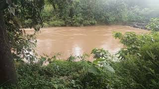 Dudhsagar Farm amp Villas Goa Where River Mountain amp Cloud is Calling [upl. by Lraep]