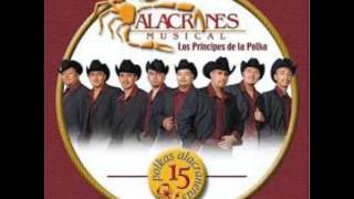 Alacranes Musical Corazon de texas [upl. by Veradia]