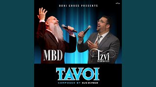 Tavoi feat Tzvi Silberstein [upl. by Knick152]