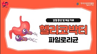 헬리코박터 파일로리균 감염 경로 증상은 어떨까 예방법도 알아보자🔎 [upl. by Pinette951]