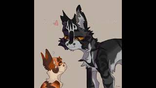 Spottedleafs Heart edit warriorcats edit cats viralvideos [upl. by Lyons]