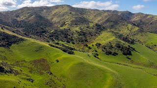 Carbon forestry and farming Taylor Pass Road Awatere Valley Marlborough [upl. by Isis]