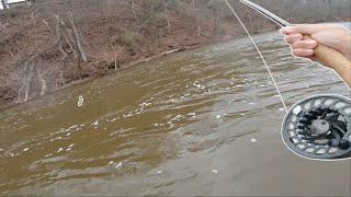 Catching big DOINKS in amish  Fly Fishing [upl. by Neenahs]