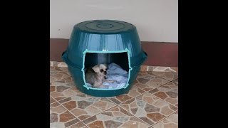 Casa de bacia para pets [upl. by Nenney]