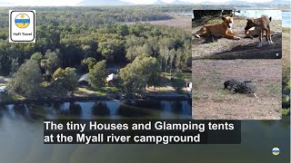 Myall River Glamping tents and Tiny Houses [upl. by Reynolds27]