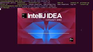 IntelliJ IDEA 2018 Community Edition installation in Ubuntu 1804 LTS [upl. by Kester168]