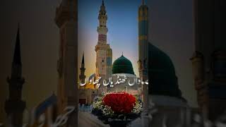 Haq la ilaha illallah  Naat Whatsapp Status  Whatsapp Status video [upl. by Woodley630]