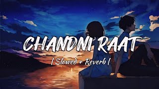 Chandni Raat  Slowed  Reverb  New Hindi Song  Lofi Reverb [upl. by Aenal]