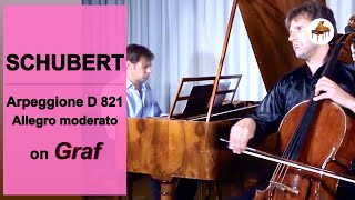 Schubert on McNulty Fortepiano Graf I Arpeggione mov1 Allegro moderato by VIlissavsky amp KTimofeev [upl. by Beatrice542]