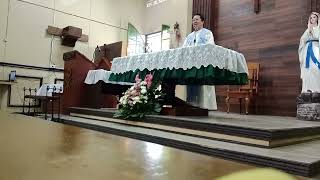 Homily by fr Noe Losada  Wednesday mass at HOJ [upl. by Mord]