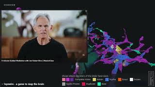 Jon KabatZinn  5minute Guided Mediation  20 Minute Guided Meditation  Body Scan Exercise [upl. by Rockefeller688]