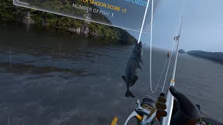 Catching the RARE ThreeSpined Stickleback in Real VR Fishing Japan DLC parts 1 AND 2 [upl. by Carmela]