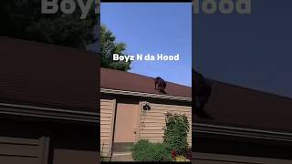 Dogz n da hood [upl. by Venice]