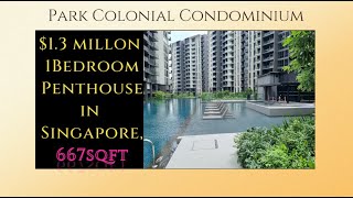 Park Colonial 1BR Penthouse Tour Singapore  新加坡新建房公寓  singaporeproperty realestate beautiful [upl. by Iden189]