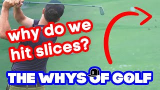 The Whys of Golf Understanding the Slice [upl. by Mert709]