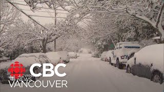 Heavy snow blankets Metro Vancouver [upl. by Prady]