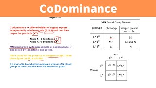 CoDominance  Genetics [upl. by Whelan822]