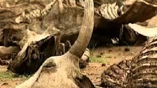 Arqueologia Biblica  Moisés mito o realidad  Documental completo [upl. by Specht]