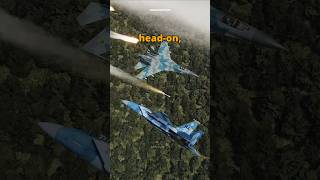 F15 Eagle v SU27 Flanker Fox2 Dogfight dcs simulation [upl. by Einwat]