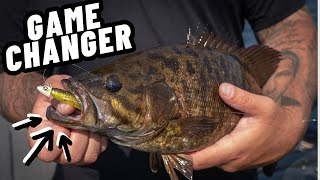 I Caught HUGE BASS Using Nishine Smelt Head [upl. by Dollar948]