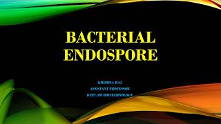 BACTERIAL ENDOSPORE MALAYALAM [upl. by Baoj950]