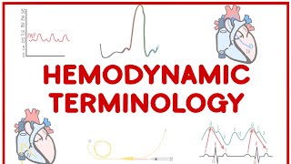 Hemodynamics Terminology Made Simple [upl. by Namwen24]