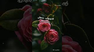 Ponnum poovum vaari choodam lyrics status song [upl. by Fee]