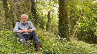 Cowparsley and Pignut with John Feehan in May Wildflowers of Offaly series [upl. by Ashman]