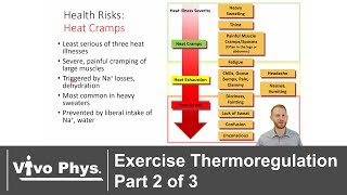 Exercise Thermoregulation Part 2 of 3  Exercise in the Heat [upl. by Zahara]