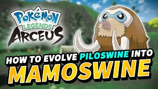 How to evolve PILOSWINE into MAMOSWINE  Pokemon Legends Arceus [upl. by Ellah]