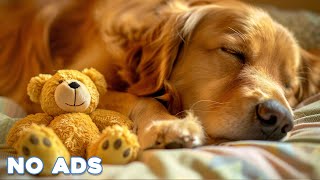 12 Hours Anti Anxiety Music for Dogs 🐶 Stress Relief Music For Dogs ♬ Calming Music For Dogs [upl. by Sladen]