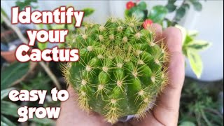 Cactus Names and Pictures  Cactus Identification [upl. by Ollayos]