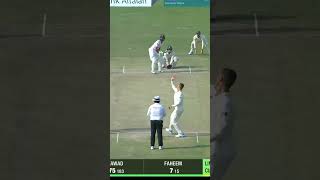 Fawad Alam Sensational Innings  109 Runs vs South Africa PAKvSA SportsCentral Shorts PCB ME2K [upl. by Teodorico]