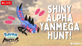 🔴 SHINY ALPHA YANMEGA HUNT soft reset method  Live Stream  Pokémon Legends Arceus shorts [upl. by Inalan794]