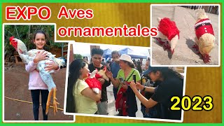 🐓 Visitamos a la EXPO aves ornamentales quotPACHACAMACquot  Lino el Gallo con Botas [upl. by Eeryn]