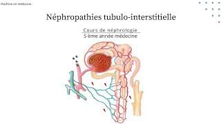 Néphropathie tubulointerstitielle chronique quotNTICquot nephro [upl. by Ahseina]