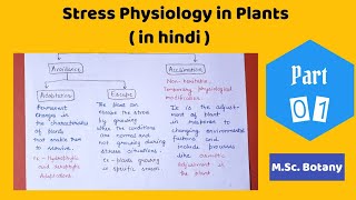 Stress Physiology in Plants  in detail   Stress physiology in hindi [upl. by Ayt]