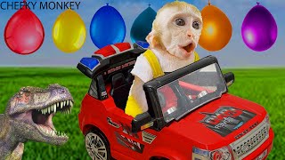 Playful little monkeys drive supercars play water balloons and cook grilled fish and dinosaur eggs [upl. by Dorri]