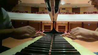 Turkish March by Fazil Say on Piano Solo played by Rudolf Cicko [upl. by Modestine]